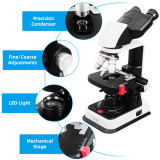 BM24 40X-2500X Biological Microscope Siedentopf Binocular Head Research-Grade Compound Lab Microscope With 3D Mechanical Stage