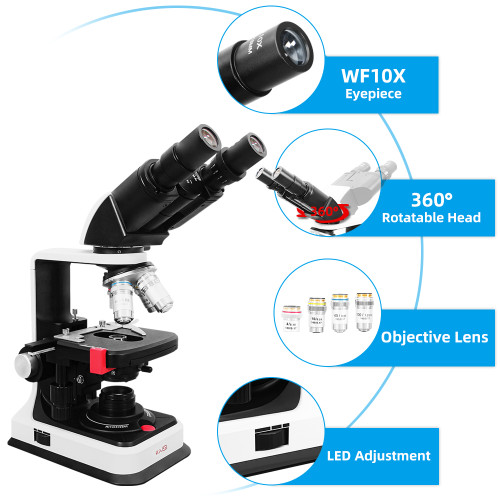 BM24 40X-2500X Biological Microscope Siedentopf Binocular Head Research-Grade Compound Lab Microscope With 3D Mechanical Stage