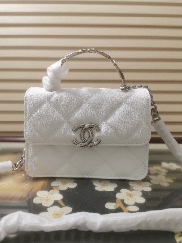 Chanel Handbags 001 (2022)