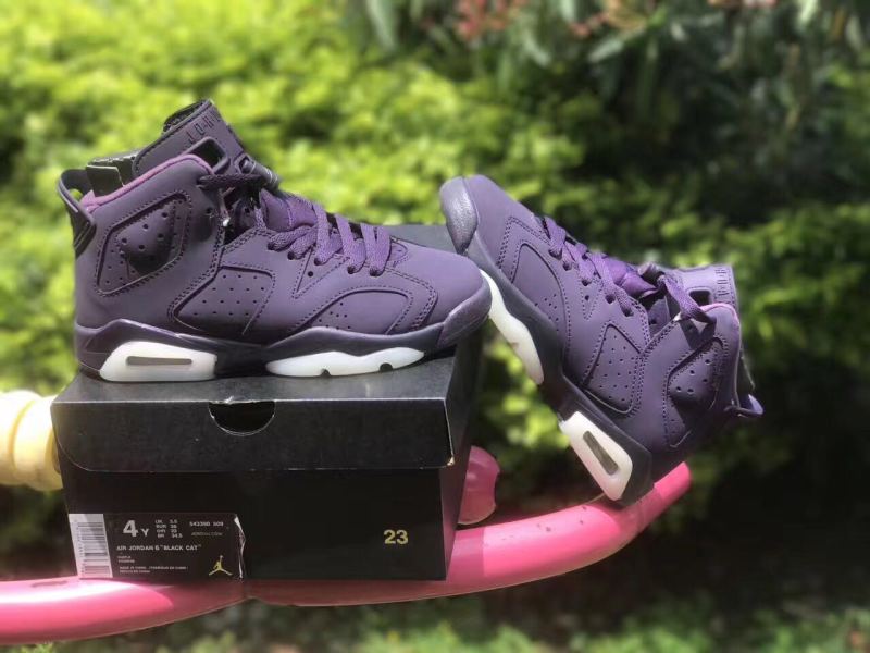 Authentic Air Jordan 6 Purple GS