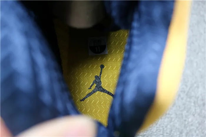 Authentic Air Jordan 5 Michigan Inspire