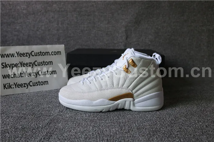 Authentic Air Jordan 12 White OVO GS