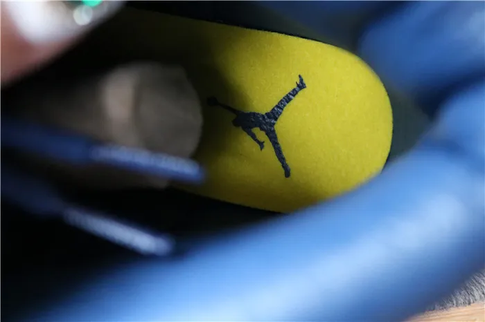 Authentic Air Jordan 12 Michigan