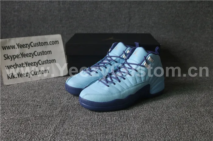 Authentic Air Jordan 12 GS Darker Purple Dust