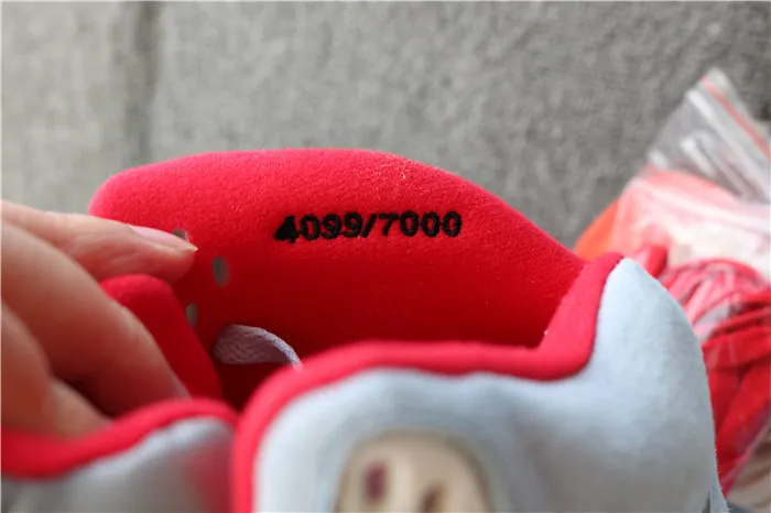 Authentic Trophy Room X Air Jordan 5 Icy Blue