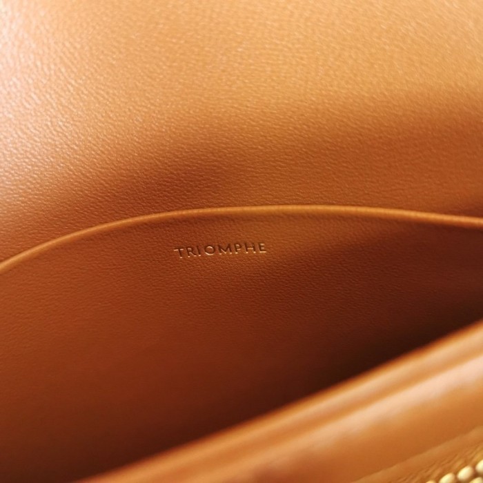 Celine Super High End Handbags 0030 (2022)