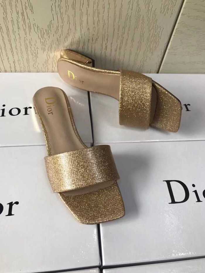 Dior Slipper Women Shoes 0037