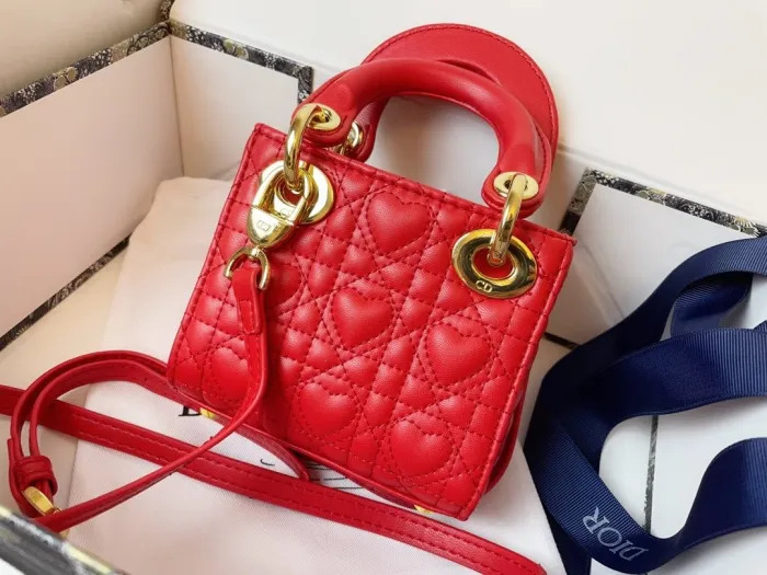 Dior Handdbag 001 （2022）