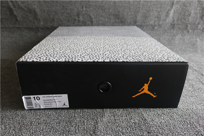 Authentic Air Max X Air Jordan 3 Atmos Pack