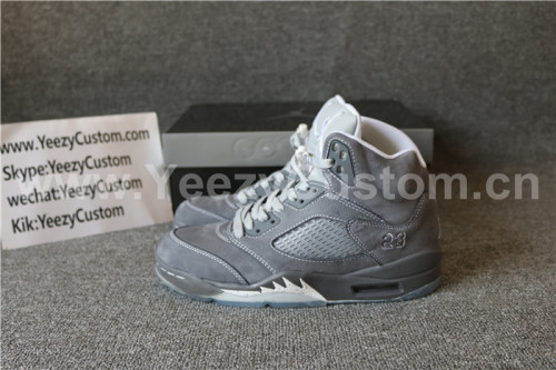Authentic Air Jordan 5  Cool Grey