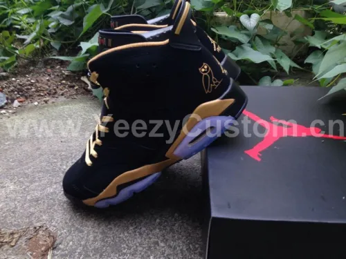 Authentic Air Jordan 6 OVO