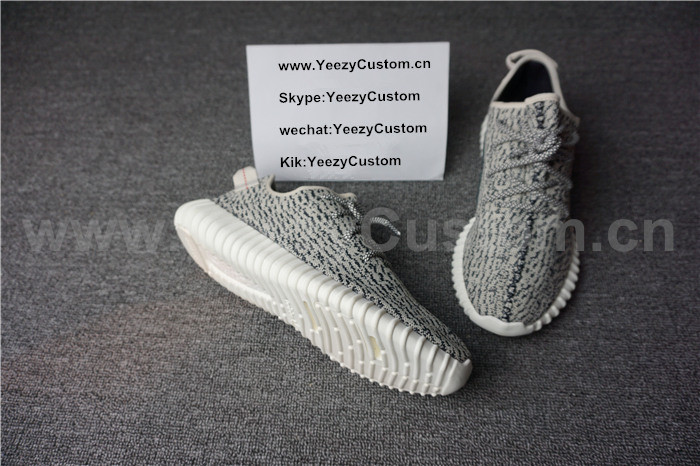 Authentic Adidas Yeezy Boost 350 Turtle Dove GS