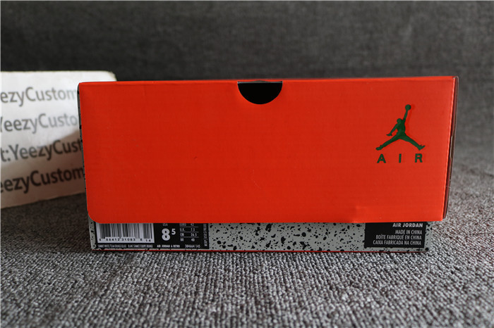 Authentic Air Jordan 6  Gatorade