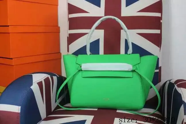 Celine Super High End Handbag 0020