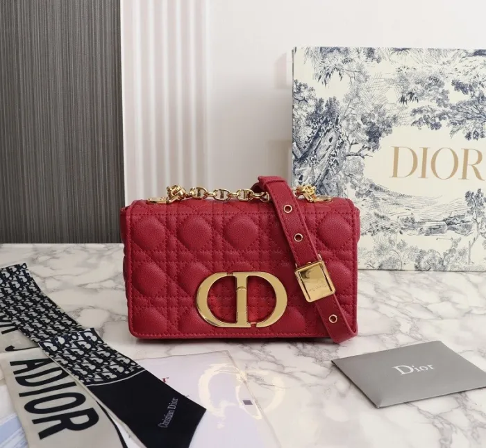 Dior Handdbag 0031（2022）