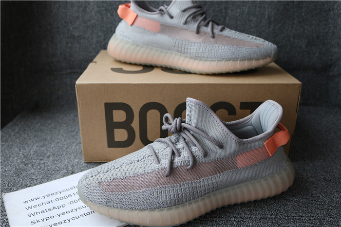 Authentic Adidas Yeezy Boost 350 V2 True Form Men Shoes