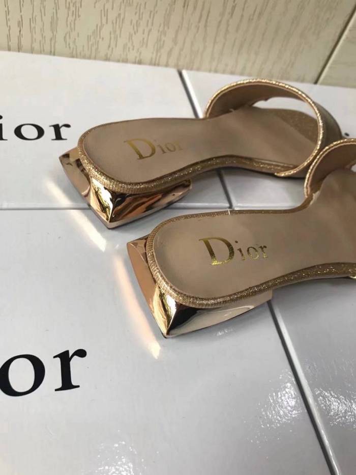 Dior Slipper Women Shoes 0037