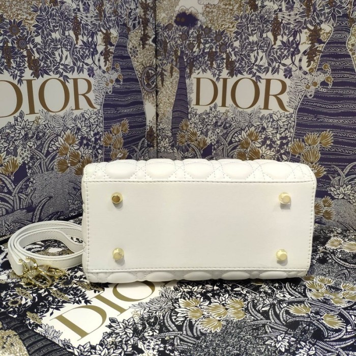 Dior Handdbag 0010（2022）