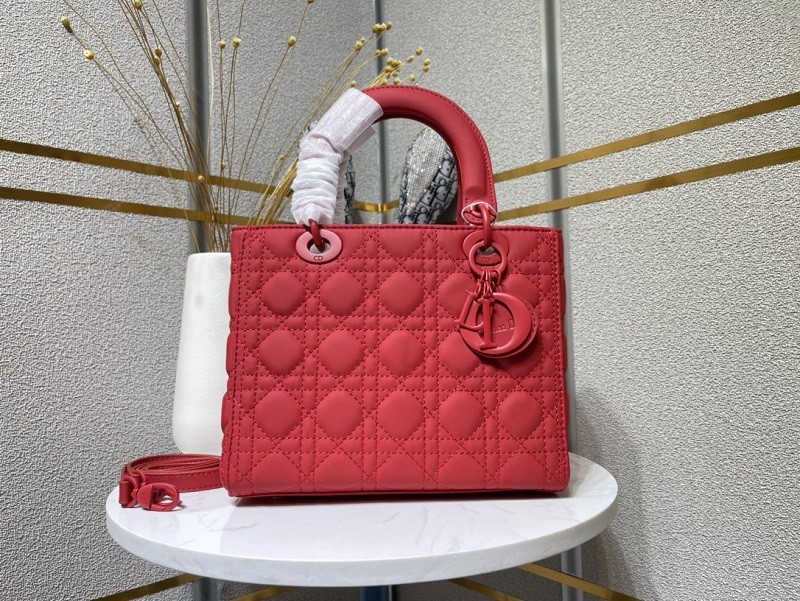 Dior Handdbag 004 （2022）