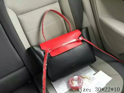 Celine Super High End Handbag 0016