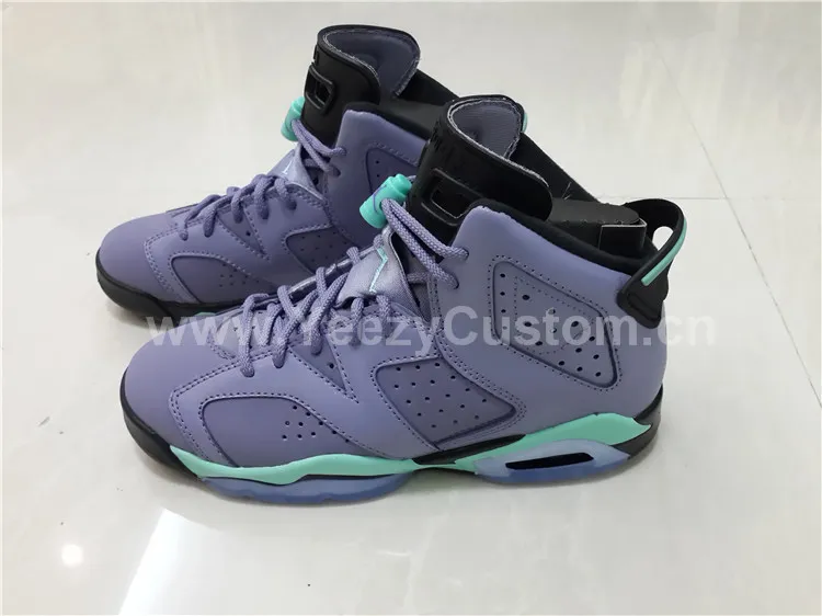 Authentic Air Jordan 6 Iron Purple GS