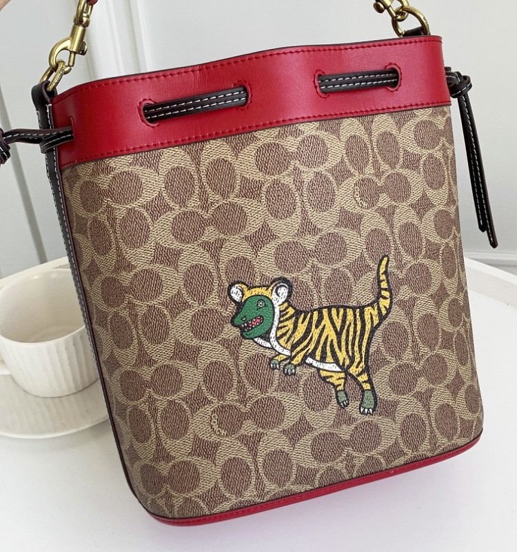 COACH Handbags 0054 (2022）