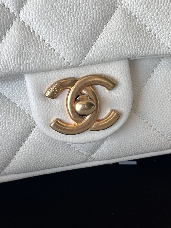 Chanel Super High End Handbags 0053 (2022)