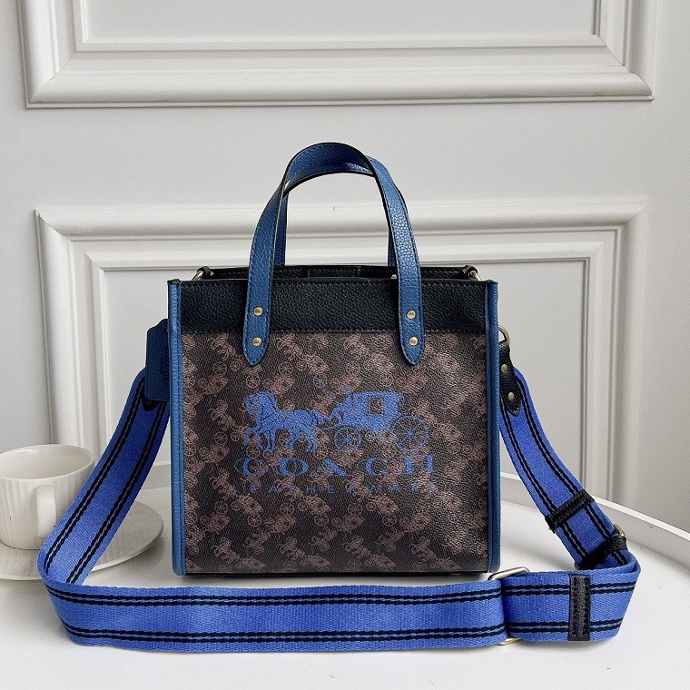 COACH Handbags 0039 (2022)