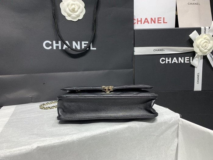 Chanel Super High End Handbags 0034 (2022)