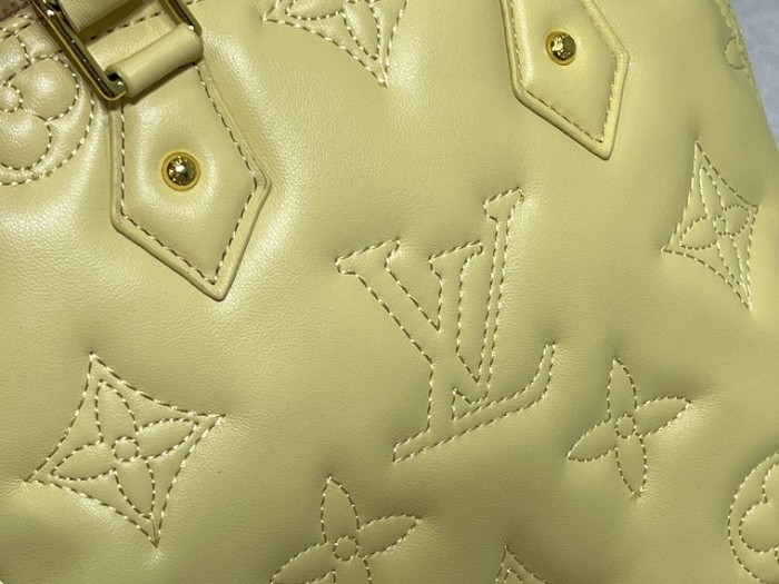 Louis Vuitton Handbags 0082 (2022)
