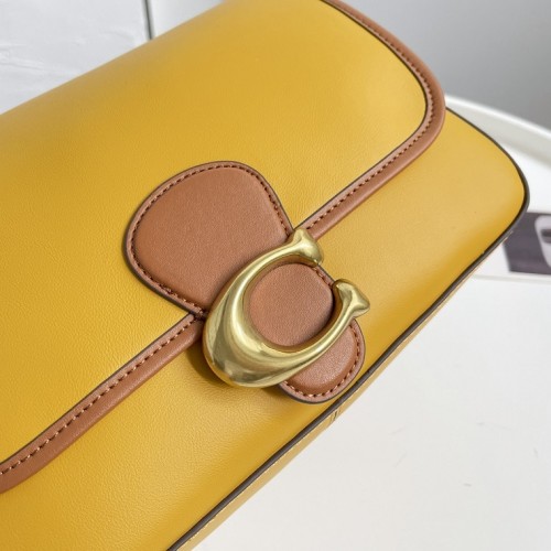 COACH Handbags 0031 (2022)