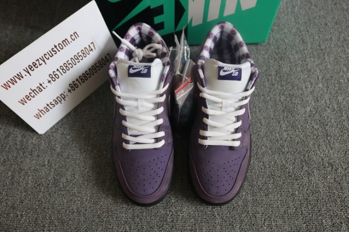 Authentic Concepts X Nike SB Dunk Low Pro OG Purple Lobster