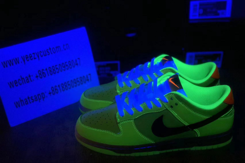 Authentic Nike SB Dunk Low Glow In The Dark