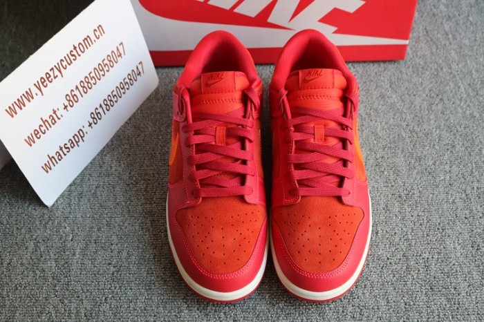 Authentic Nike Dunk Low ATL