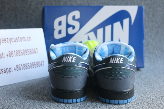 Authentic Concepts X Nike SB Dunk Low  Blue Lobster 