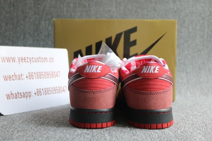 Authentic Concepts X Nike SB Dunk Low Red Lobster