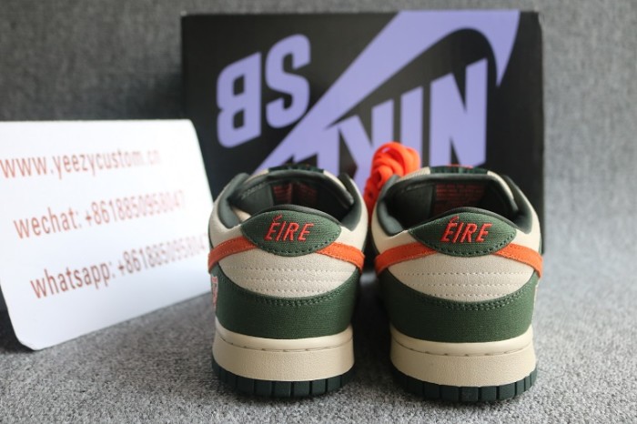 Authentic Nike Dunk Low Pro  Eire  