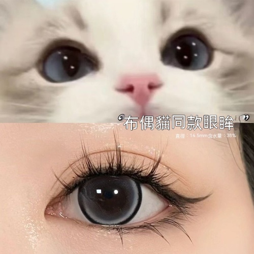 OVOLOOK 布偶貓同款美瞳年拋 限時買二送二 下單即贈護理液眼鏡盒