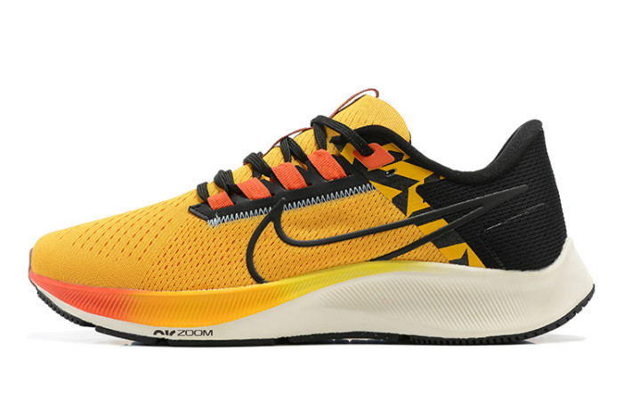 The 38th generation of landing on the moon