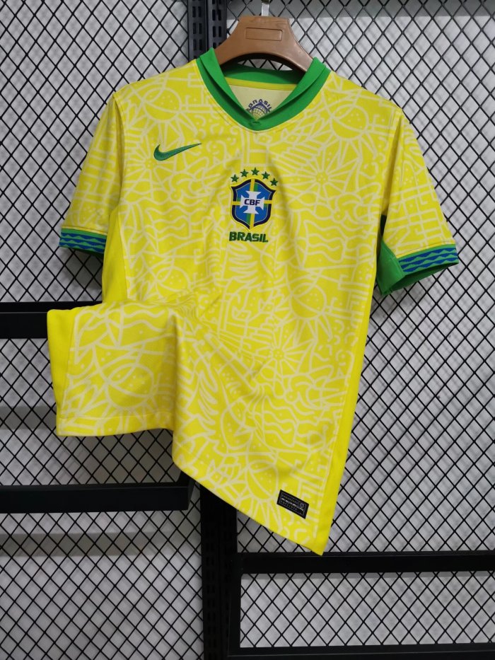 Brazil 2024/2025