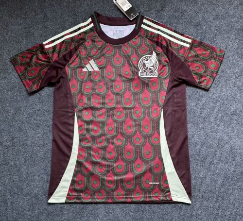 24/25 Mexico HOME