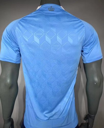 24-25 Belgian away pass version of the jersey