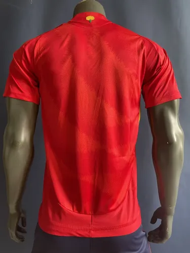 24-25 Spain home pass version of the Jersey