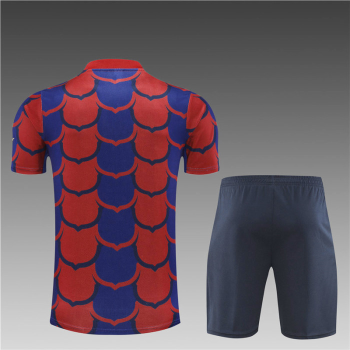 24/25 Barcelona Short sleeve training suit Red Blue