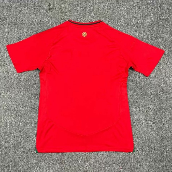 24/25 Wales home football Jersey