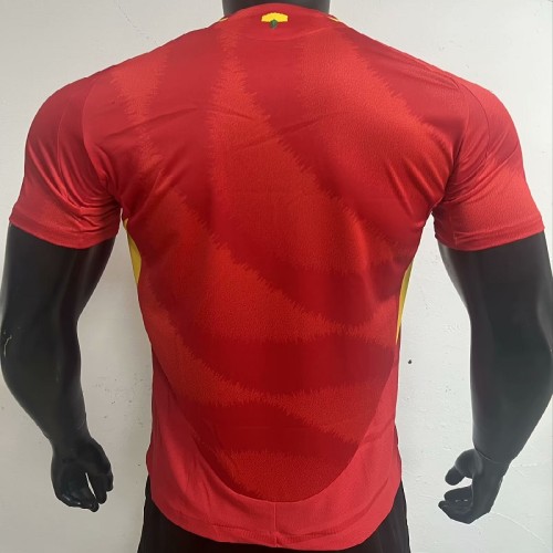 24/25 Spain home Player Version