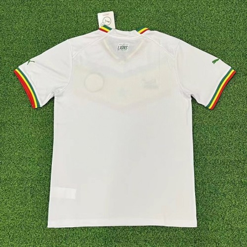 2022-2023  Senegal National Team home football Jersey S-4XL