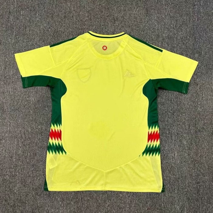 24/25 Wales Away football Jersey