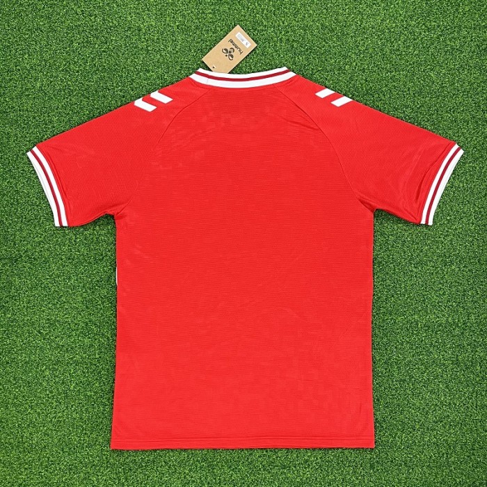 24/25 Denmark home football Jersey