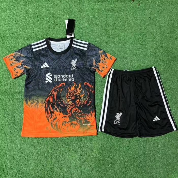 25/26 liverpool Special Edition kids kit